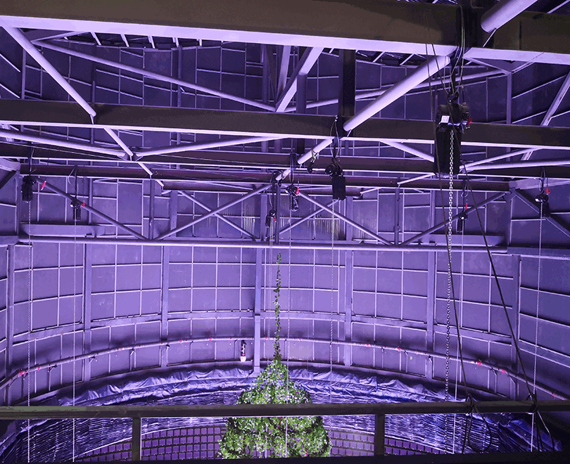 The "Invisible Cloak" of Stage Electric Hull