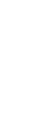 W12 U Stage Electric Hoist